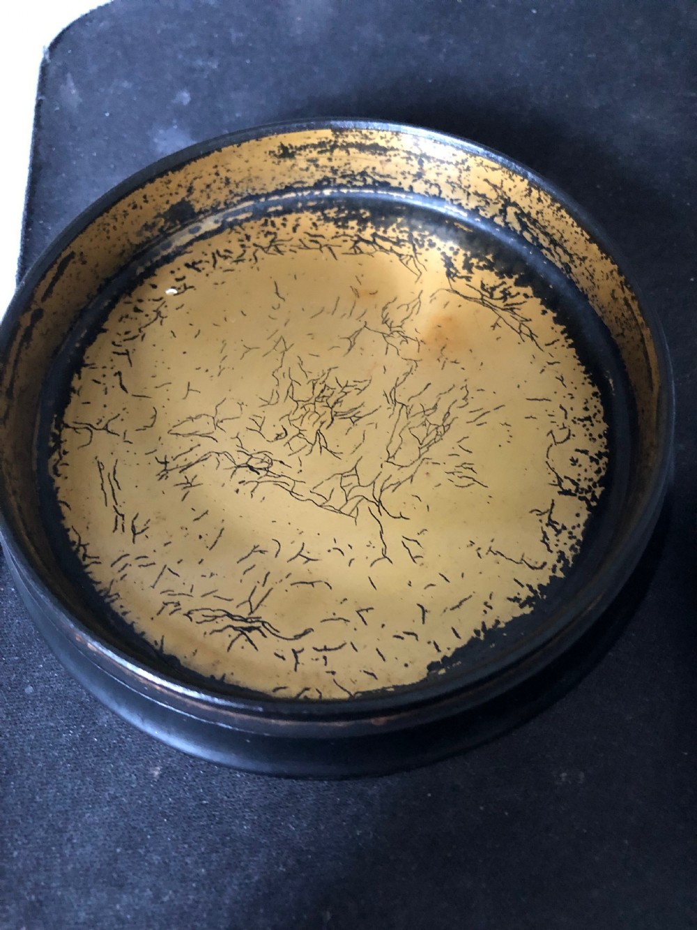 A Regency Stobwasser Papier Mache Snuff Box c.1820 and one other View IV