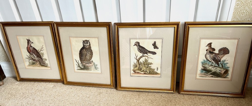 A set of four framed 18th-century hand-coloured engravings depicting various bird species within gold gilt wood frames. View IV