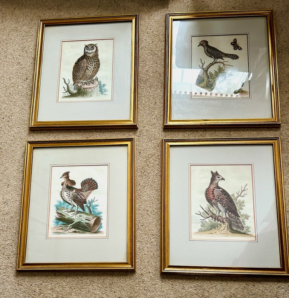 A set of four framed 18th-century hand-coloured engravings depicting various bird species within gold gilt wood frames. View VII