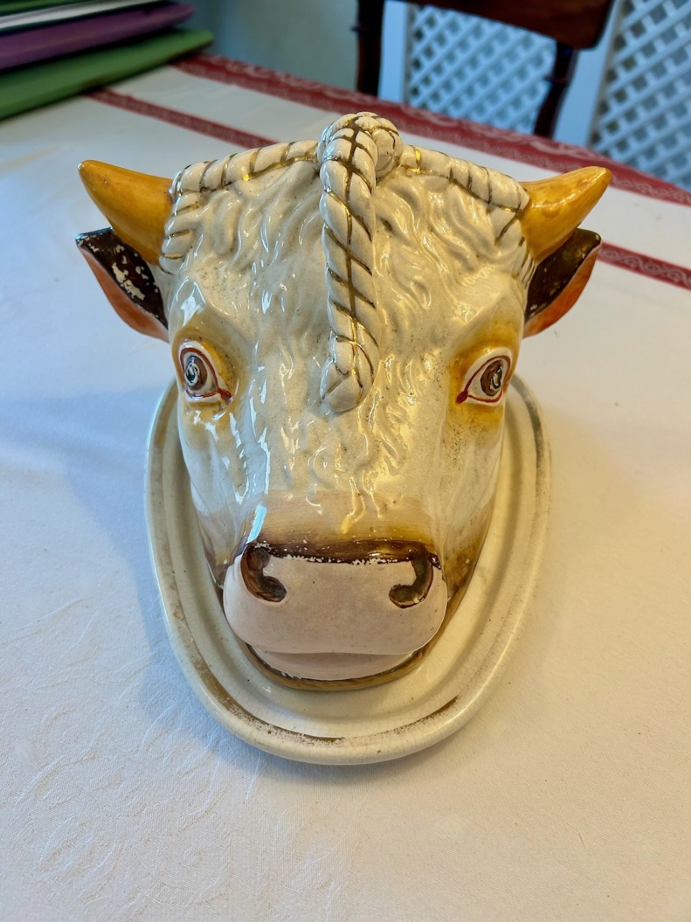 Alternate View