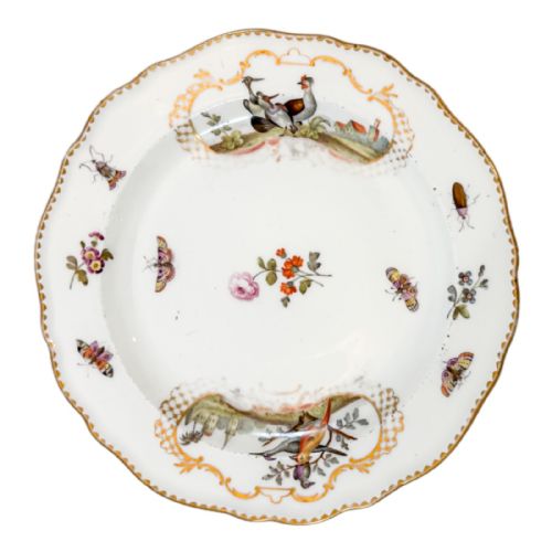 Antique 19th Century Meissen Porcelain Bird and Insect Design Plate with Gilt Scalloped Rim