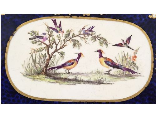 ENGLISH TRAY IN THE WORCESTER JAMES GILES EXOTIC BIRD TRADITION MID19TH CENTURY - ADDITIONAL PHOTO 9