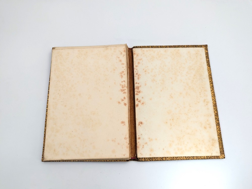 Antique book “The Song of Songs, Which is Solomon's”, illuminated by Owen Jones, 1849 View XVII