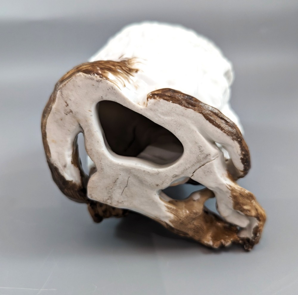 A Museum-Quality & Provocative Meissen Porcelain Monkey, 