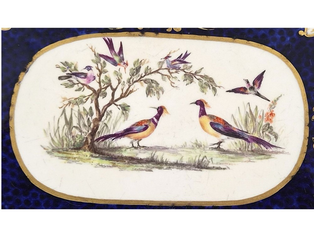 A rectangular mid-19th-century English porcelain tray featuring a dark cobalt blue ground, hand-painted exotic birds in a central oval vignette, floral reserves, and gilt handles. View X