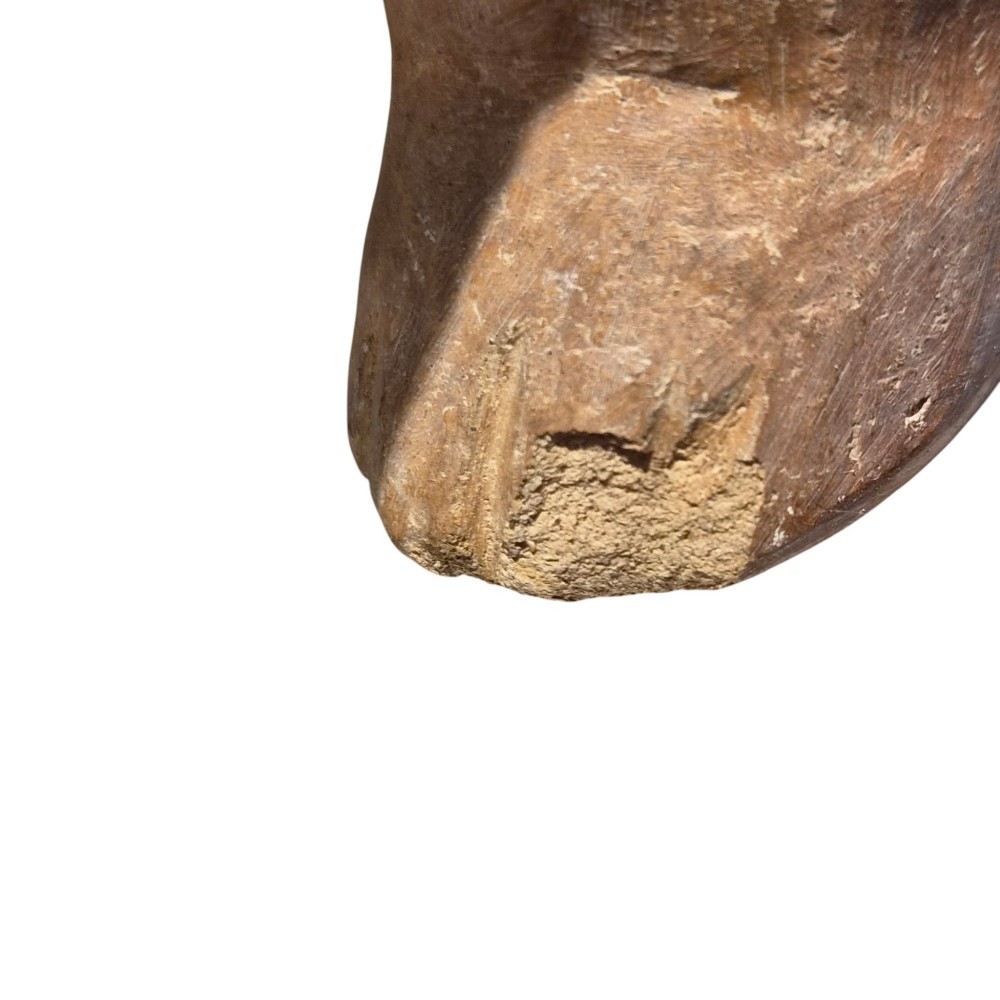 A pre-Columbian terracotta zoomorphic vessel featuring an animal form with painted geometric patterns around the neck and a integrated handle spout. View XIV