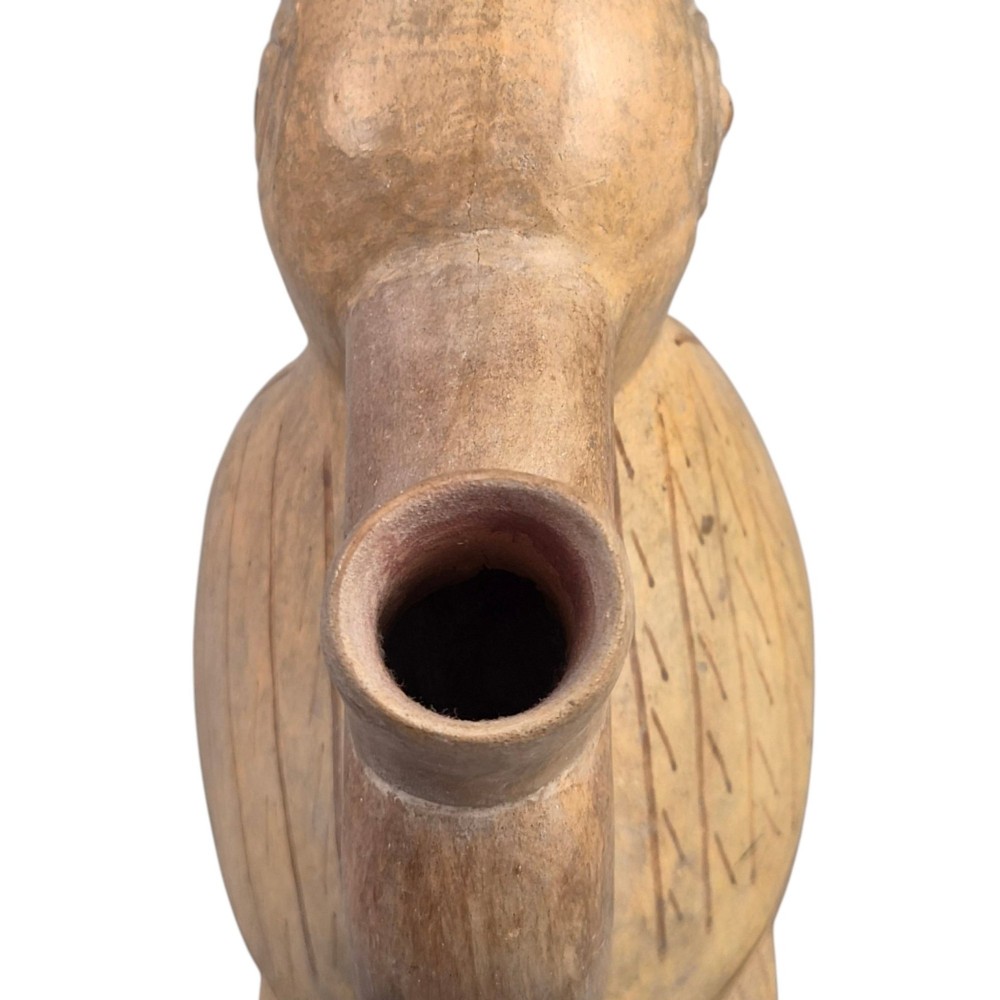 A beige terracotta Pre-Columbian stirrup spout vessel sculpted in the shape of a perched bird. View VIII