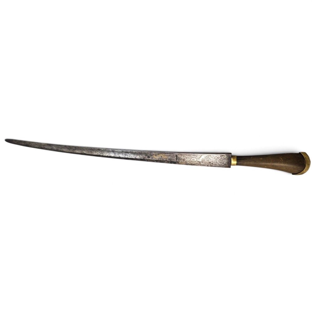 A 19th-century Pesh-Kabz knife featuring a recurved single-edged steel blade with surface etching, a brass bolster, and a tapered carved horn handle. View XV
