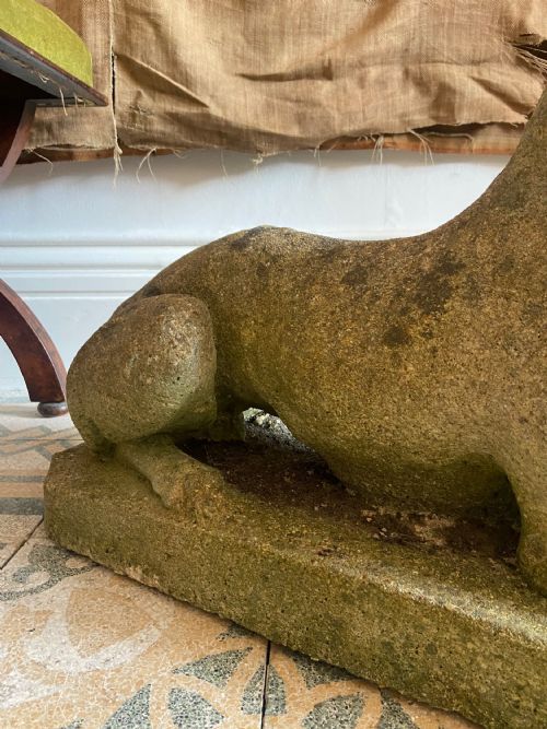 ANTIQUE RECUMBENT GREYHOUND WEATHERED COMPOSITE STONE CIRCA 1910 70CM - ADDITIONAL PHOTO 2