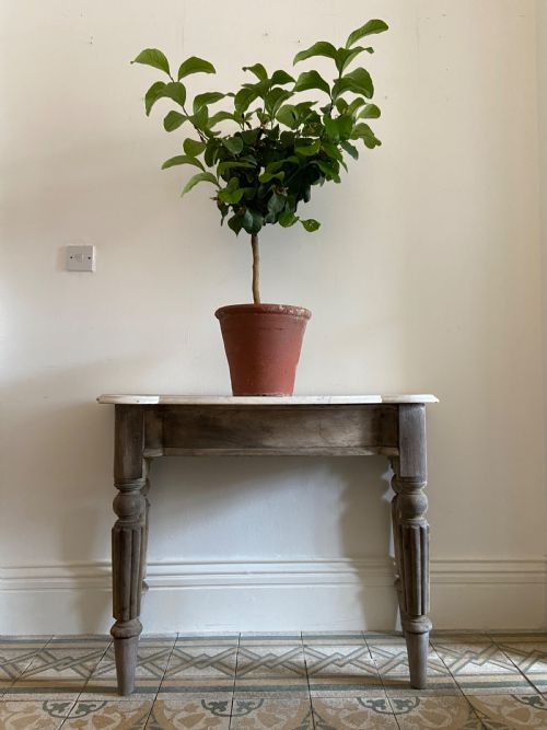 A 19TH CENTURY ORANGERY POTTING SHED TABLE 106CM WIDE CARRARA MARBLE TOP - ADDITIONAL PHOTO 3