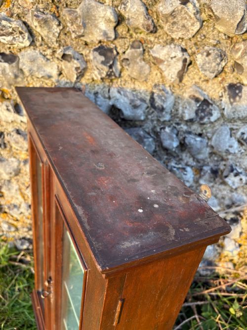 A 19TH CENTURY WALNUT ESTATE WALL HANGING CUPBOARD GLASS PANEL DOORS 84CM TALL - ADDITIONAL PHOTO 5