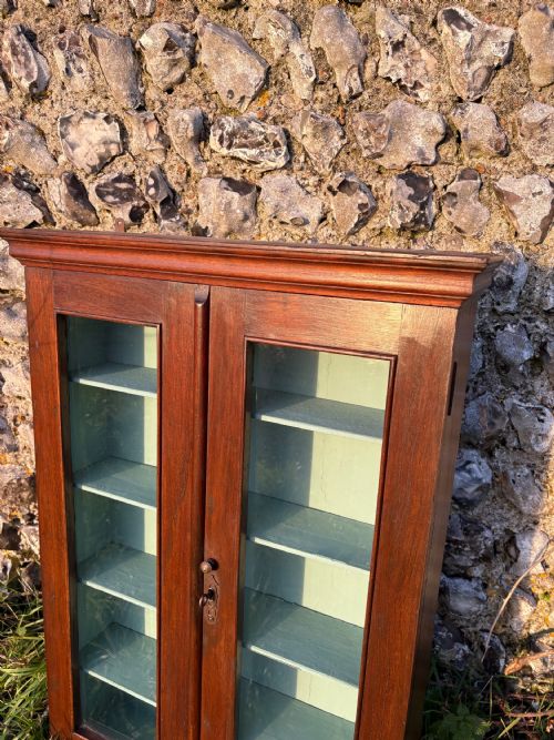 A 19TH CENTURY WALNUT ESTATE WALL HANGING CUPBOARD GLASS PANEL DOORS 84CM TALL - ADDITIONAL PHOTO 6