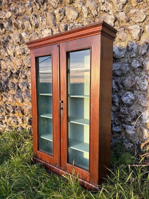 A 19TH CENTURY WALNUT ESTATE WALL HANGING CUPBOARD GLASS PANEL DOORS 84CM TALL - ADDITIONAL PHOTO 7