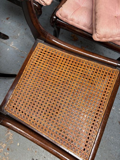 A SET OF 6 REGENCY DINING CHAIRS SABRE LEG MAHOGANY WITH CANE SEATS C1820 - ADDITIONAL PHOTO 10