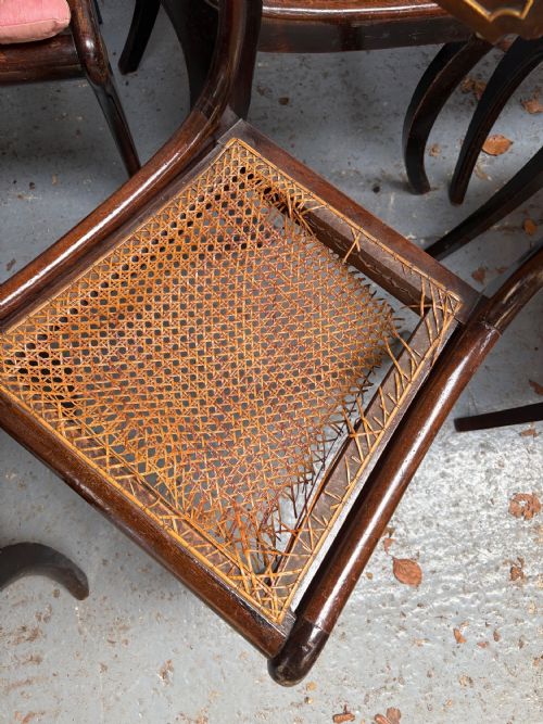 A SET OF 6 REGENCY DINING CHAIRS SABRE LEG MAHOGANY WITH CANE SEATS C1820 - ADDITIONAL PHOTO 13