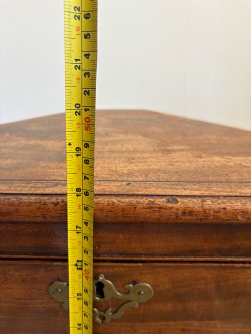 A REGENCY MAHOGANY SARCOPHAGUS CELLARETTE 65CM WIDE C1830 MANNER OF THOMAS HOPE - ADDITIONAL PHOTO 10