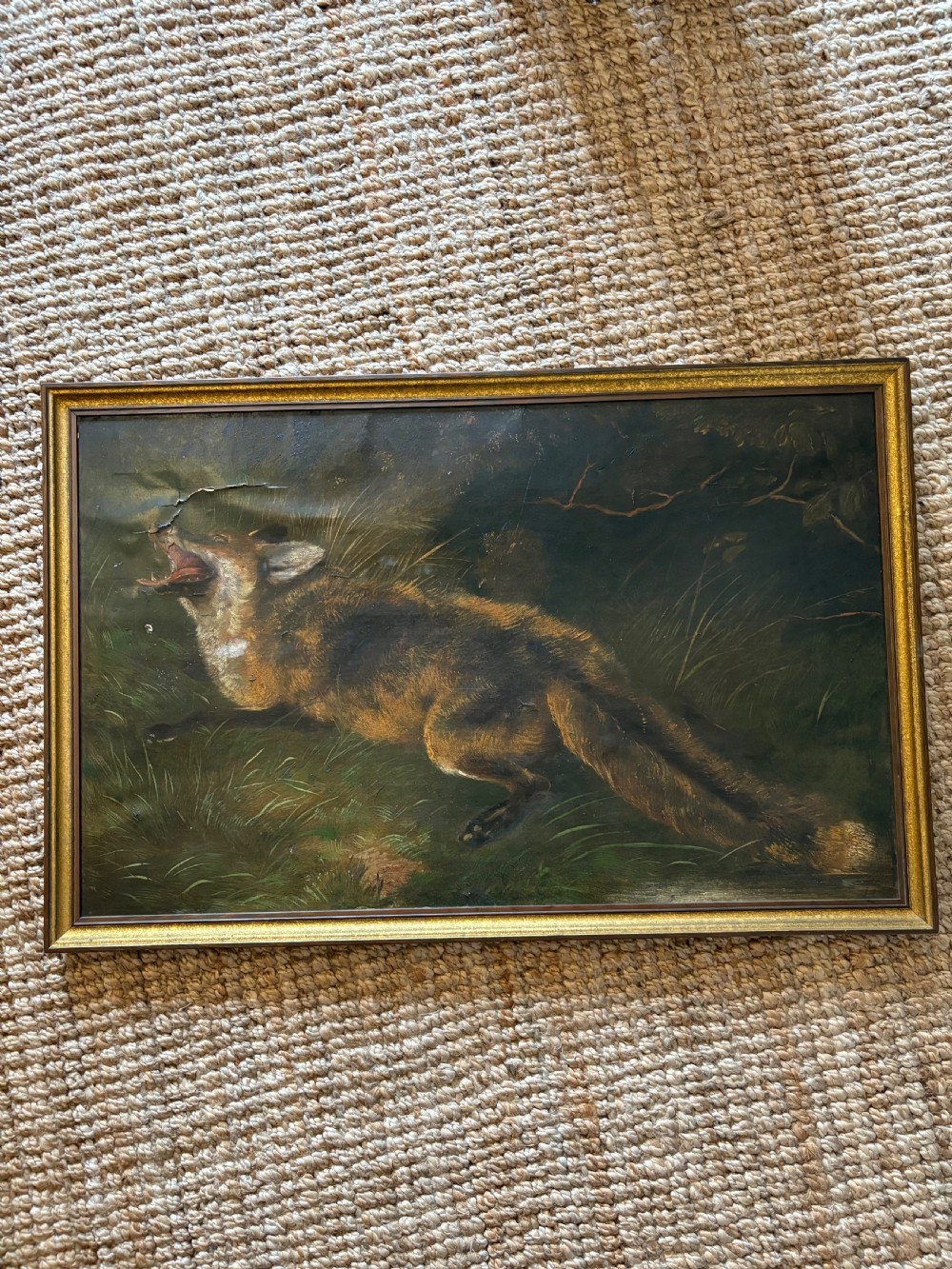 Antique Oil on Canvas Fox Wildlife Painting C1900, 90cm wide, framed View VI