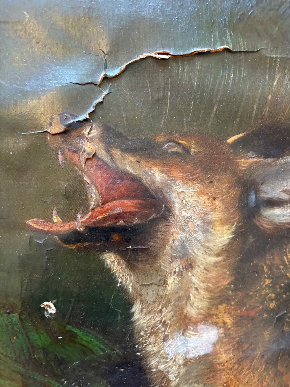 Antique Oil on Canvas Fox Wildlife Painting C1900, 90cm wide, framed View IX