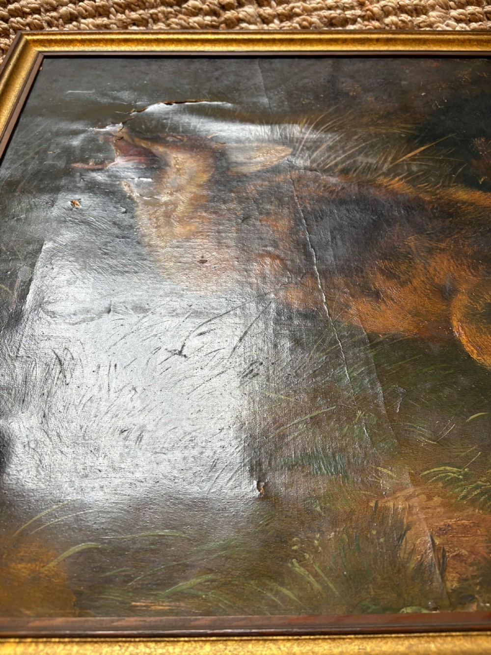 Antique Oil on Canvas Fox Wildlife Painting C1900, 90cm wide, framed View X