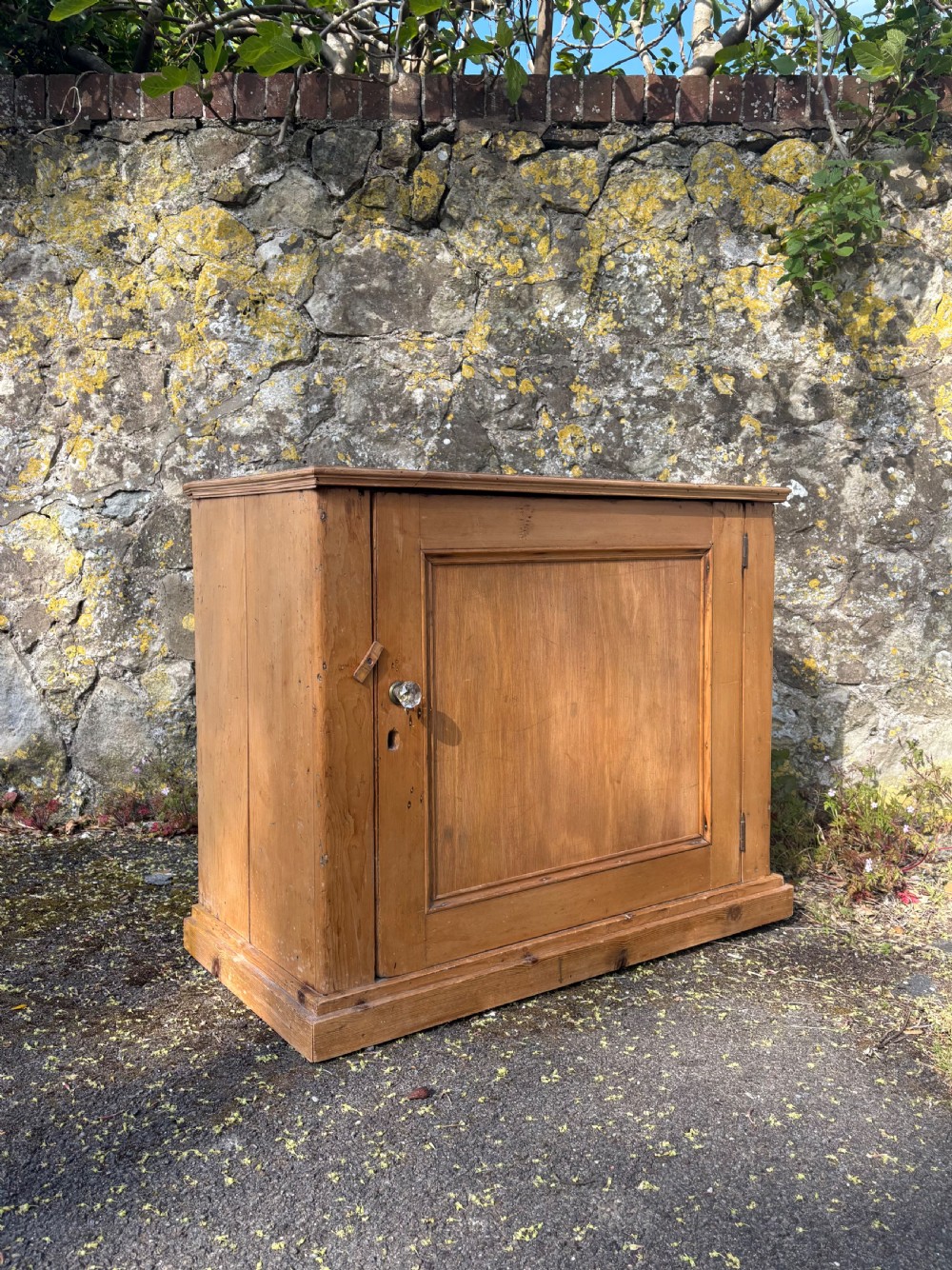 A Late 19th Century Pine Larder or Pantry Base Cupboard, 103cm C1890