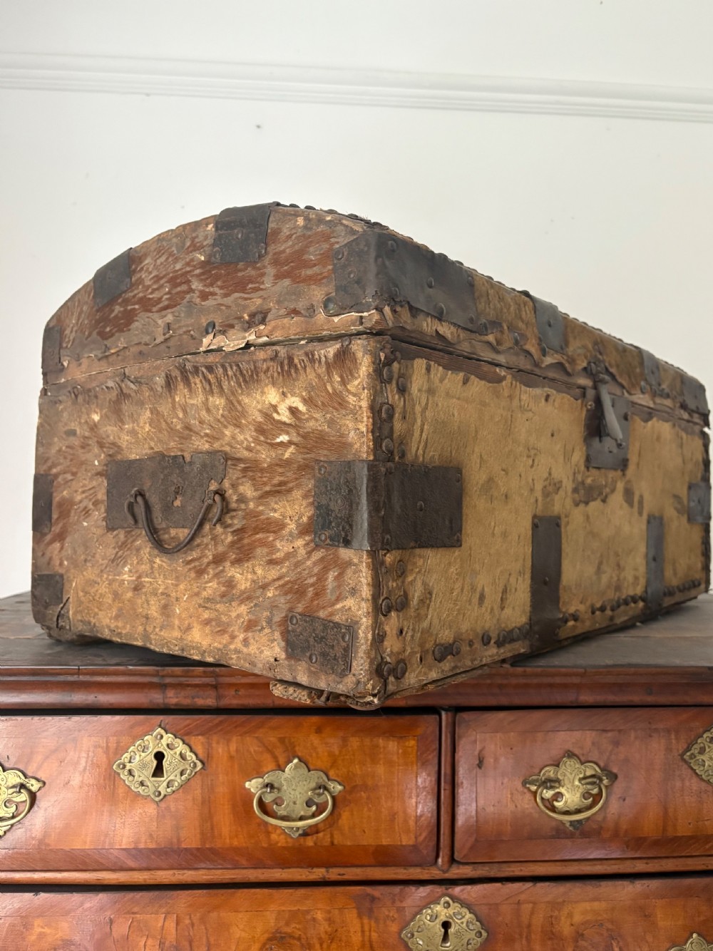 Early 18th Century Iron Bound and Deer Skin Domed Coaching Trunk 68cm, C1700 View XI