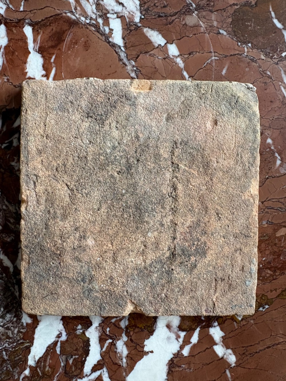 A square 17th-century tin-glazed earthenware tile featuring a hand-painted cobalt blue swan motif inside a scalloped border with geometric corner details. View VII