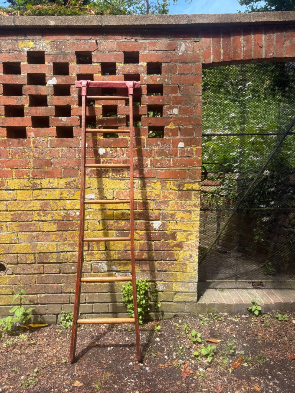 A tall early 20th-century pitch pine and elm library ladder with turned wooden rungs and a padded upper rail leaning against a white wall. View II