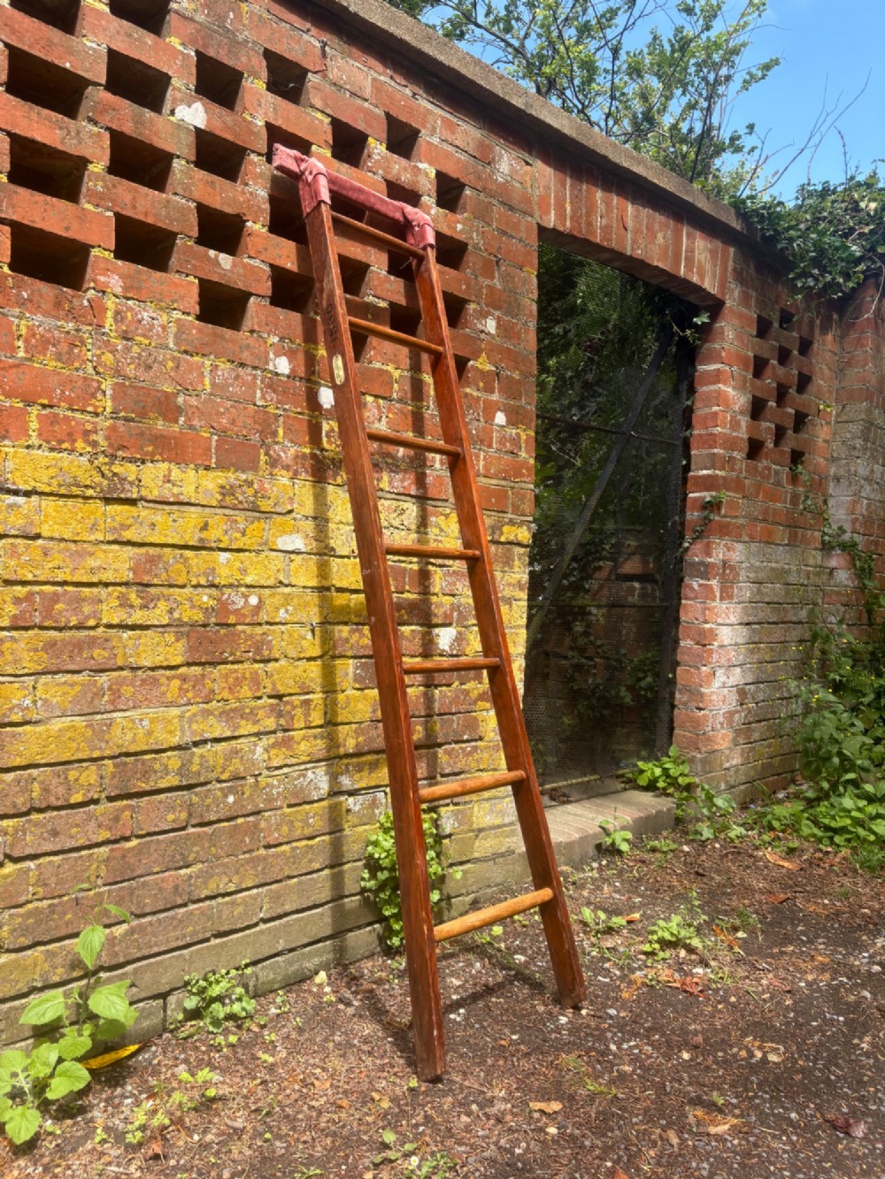 A tall early 20th-century pitch pine and elm library ladder with turned wooden rungs and a padded upper rail leaning against a white wall. View III