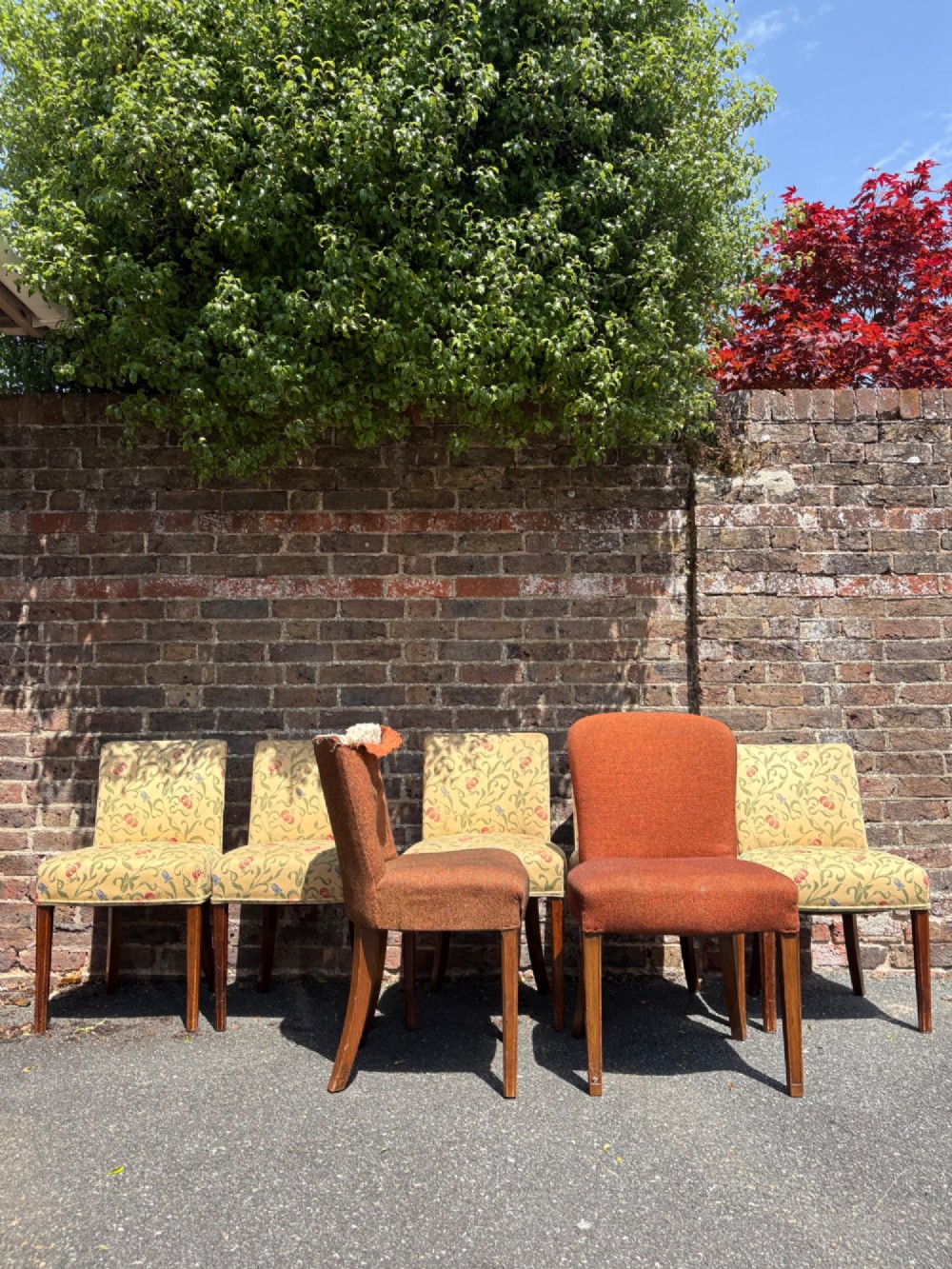 A row of 1930s Art Deco dining chairs featuring yellow floral pattern upholstery and dark oak tapered legs. View V