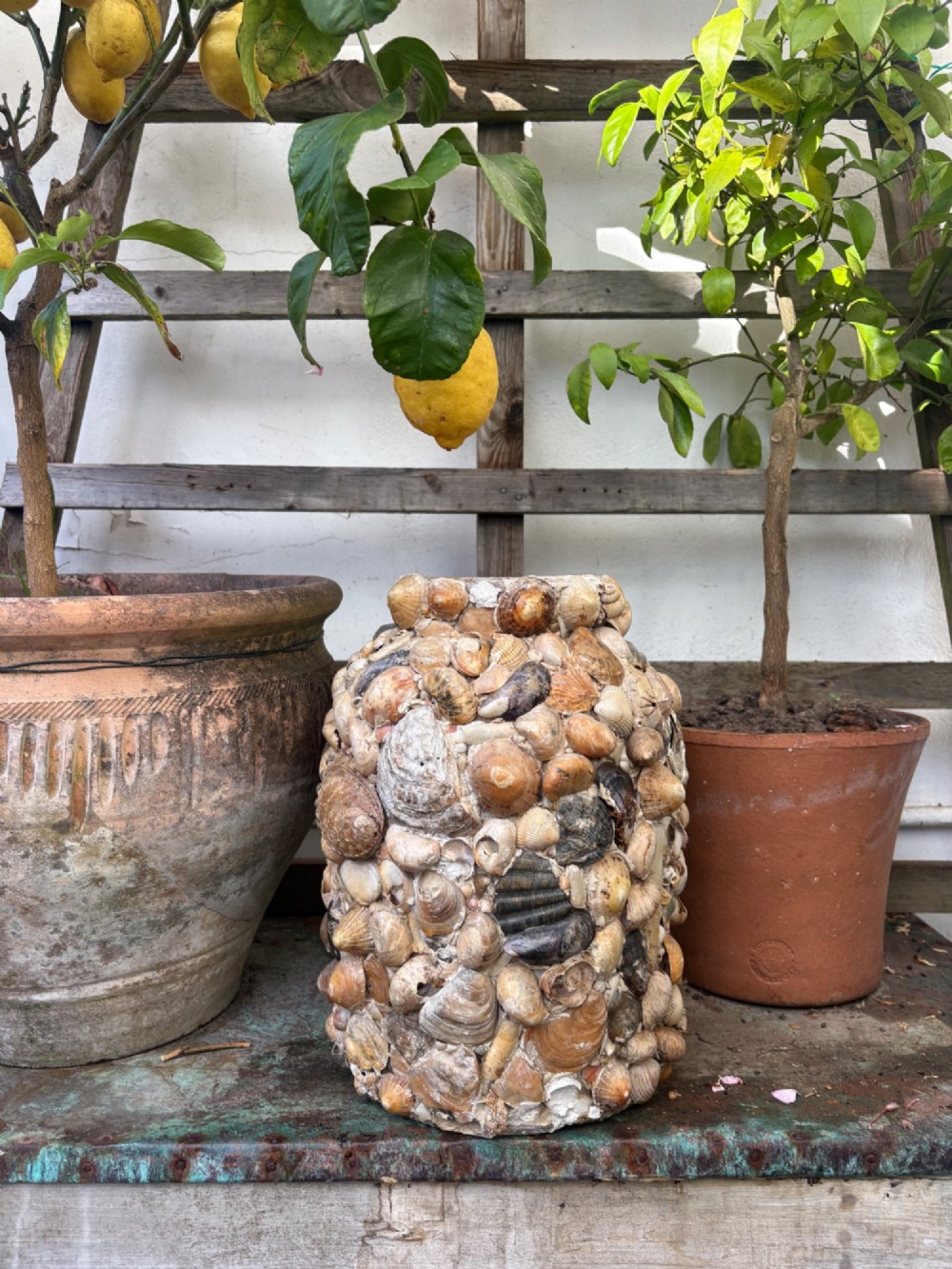 A cylindrical antique vase completely encrusted with an assortment of natural sea shells set into a mortar matrix. View VI
