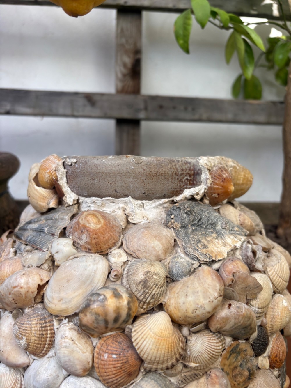 A cylindrical antique vase completely encrusted with an assortment of natural sea shells set into a mortar matrix. View VIII