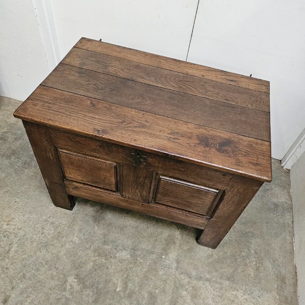 A solid dark oak coffer featuring a hinged rectangular top, two recessed front panels, and a central iron fleur-de-lis escutcheon. View II
