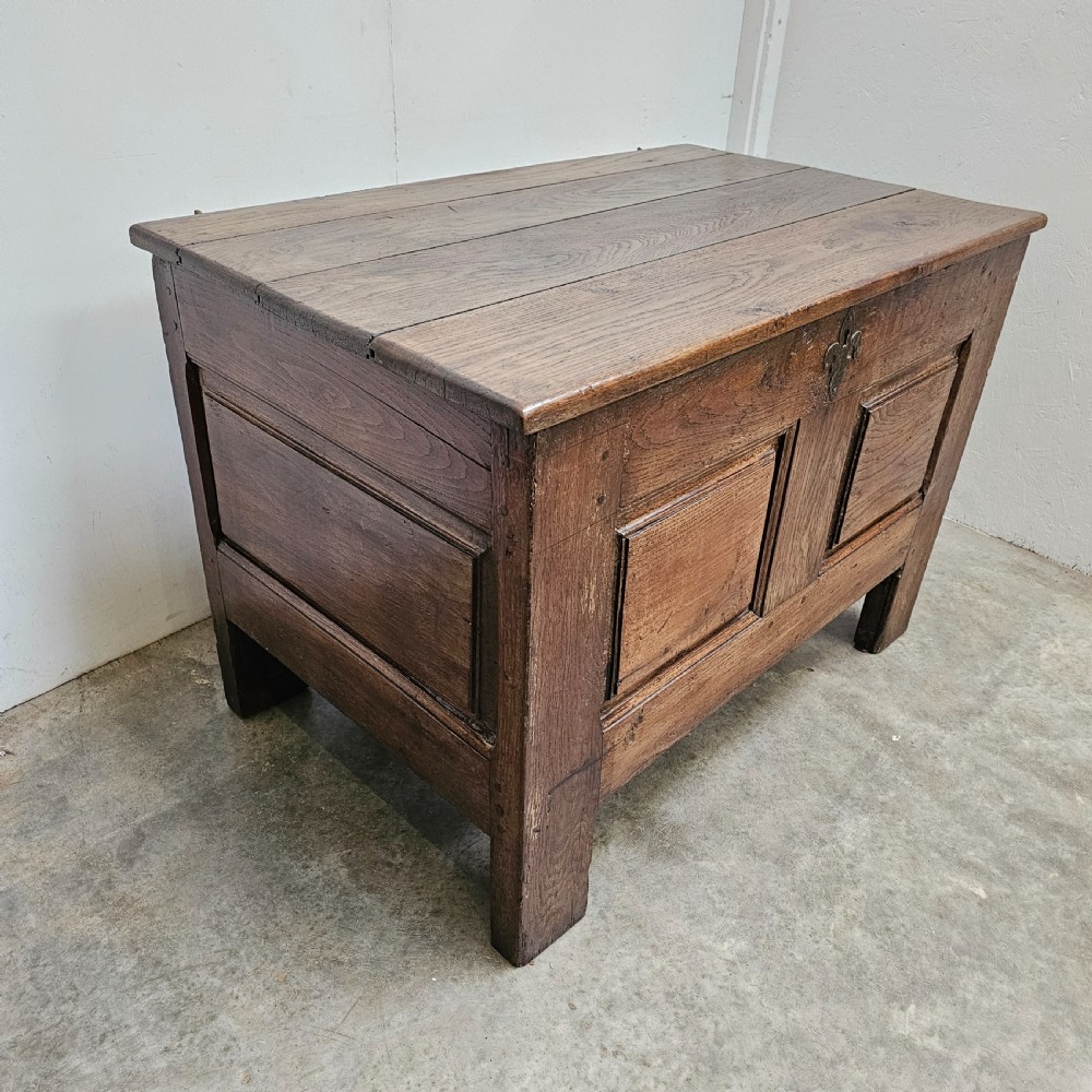 A solid dark oak coffer featuring a hinged rectangular top, two recessed front panels, and a central iron fleur-de-lis escutcheon. View III