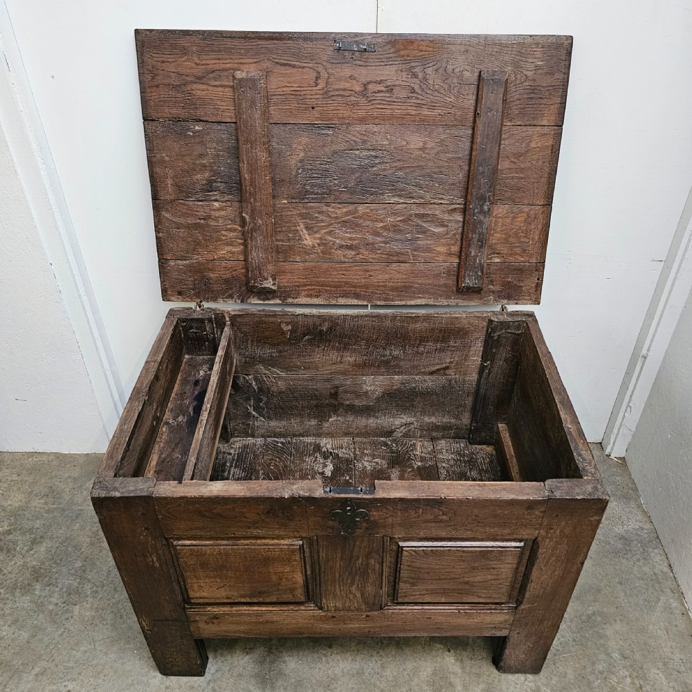 A solid dark oak coffer featuring a hinged rectangular top, two recessed front panels, and a central iron fleur-de-lis escutcheon. View IV