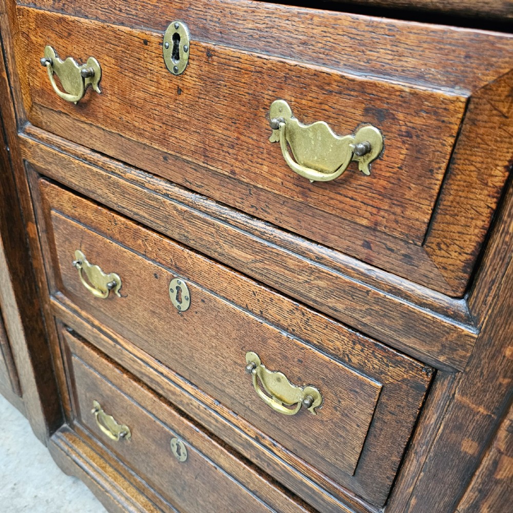 A Georgian oak breakfront dresser base featuring a central stack of three drawers flanked by two arched panel cupboard doors with brass handles. View VI