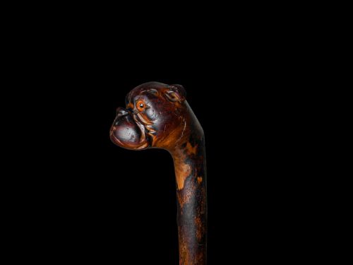 fig 2. A dark wood walking cane handle carved in the detailed shape of a bulldog head with inset glass eyes.