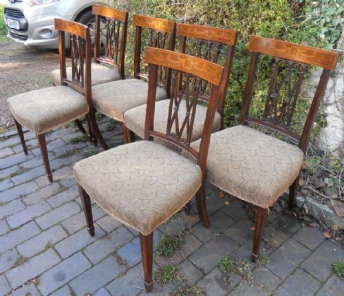 SET OF SIX SHERATON STYLE INLAID MAHOGANY DINING CHAIRS - ADDITIONAL PHOTO 3