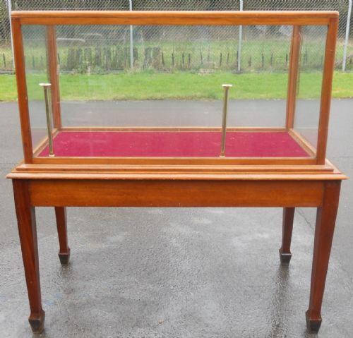 Victorian Mahogany Museum Cabinet on Stand