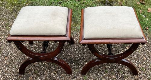 PAIR OF WILLIAM IV MAHOGANY FRAMED STOOLS - ADDITIONAL PHOTO 2