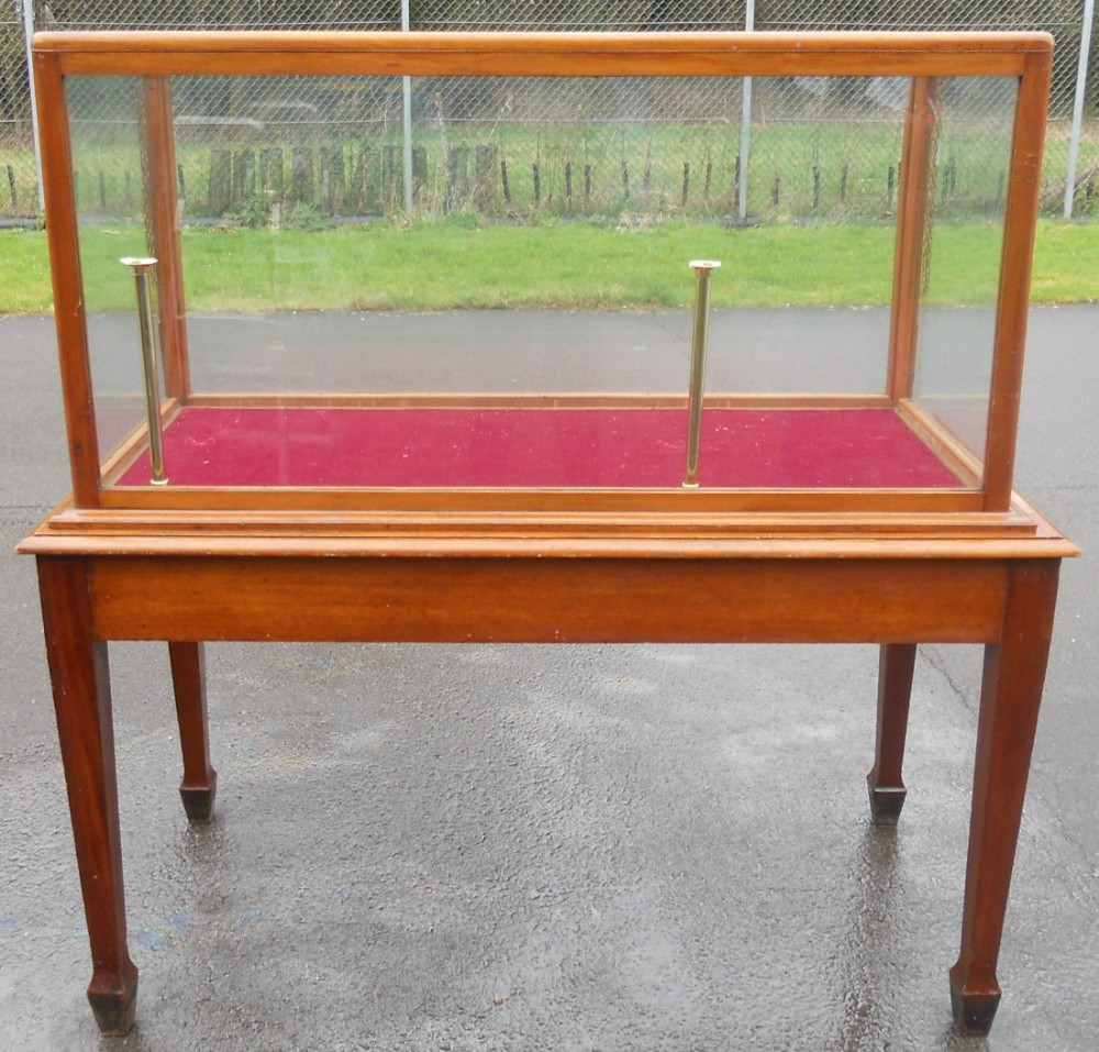 Victorian Mahogany Museum Cabinet on Stand