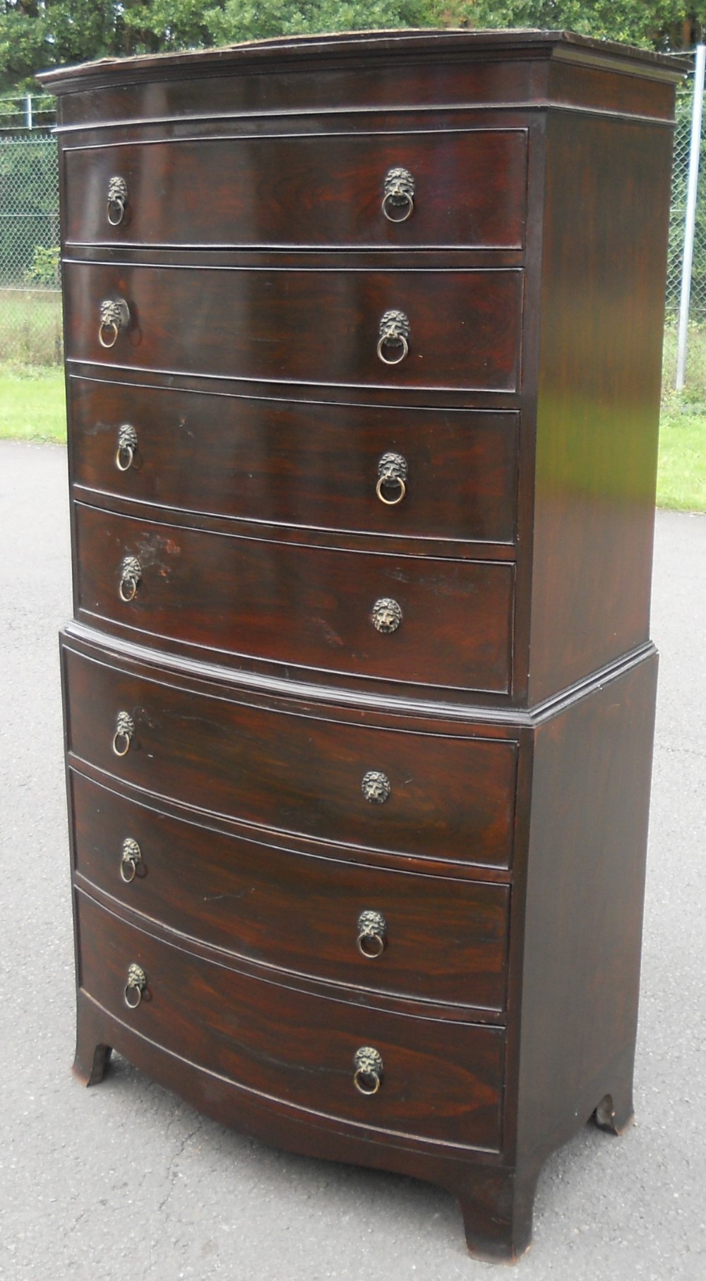 A tall mahogany bowfront chest on chest featuring seven drawers with brass lion-mask ring handles and splayed bracket feet.