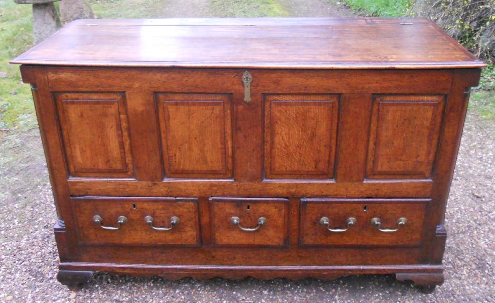 Georgian Lancashire Panelled Oak Mule Chest  View III
