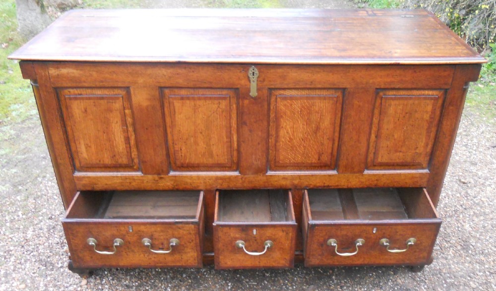 Georgian Lancashire Panelled Oak Mule Chest  View X