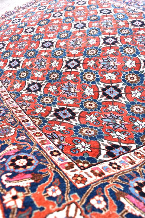 OLD PERSIAN VERAMIN RUG - ADDITIONAL PHOTO 5