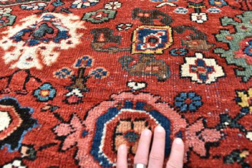 OLD MAHAL CARPET - ADDITIONAL PHOTO 3