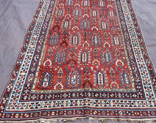 antique shirvan kelleh - CATEGORY: ANTIQUE RUGS - DATED 1900