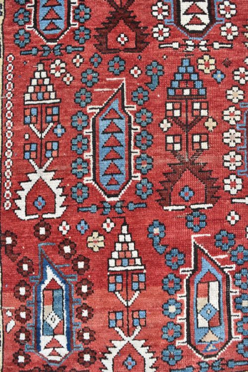 ANTIQUE SHIRVAN KELLEH - ADDITIONAL PHOTO 2