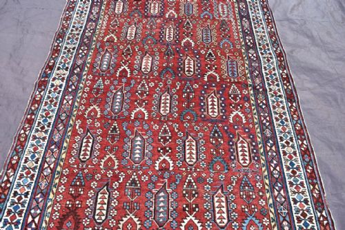 ANTIQUE SHIRVAN KELLEH - ADDITIONAL PHOTO 3