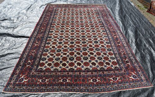 FINE ANTIQUE VERAMIN CARPET 358X208CM - ADDITIONAL PHOTO 9
