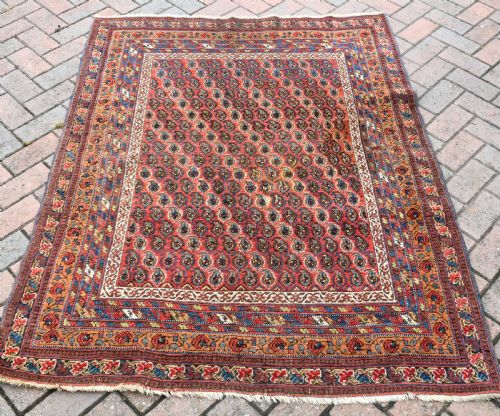 antique neriz afshar rug 162x126 - CATEGORY: ANTIQUE RUGS - DATED 1890
